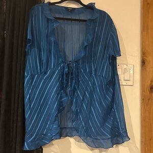 Reitmans Blue Sheer Striped Blouse